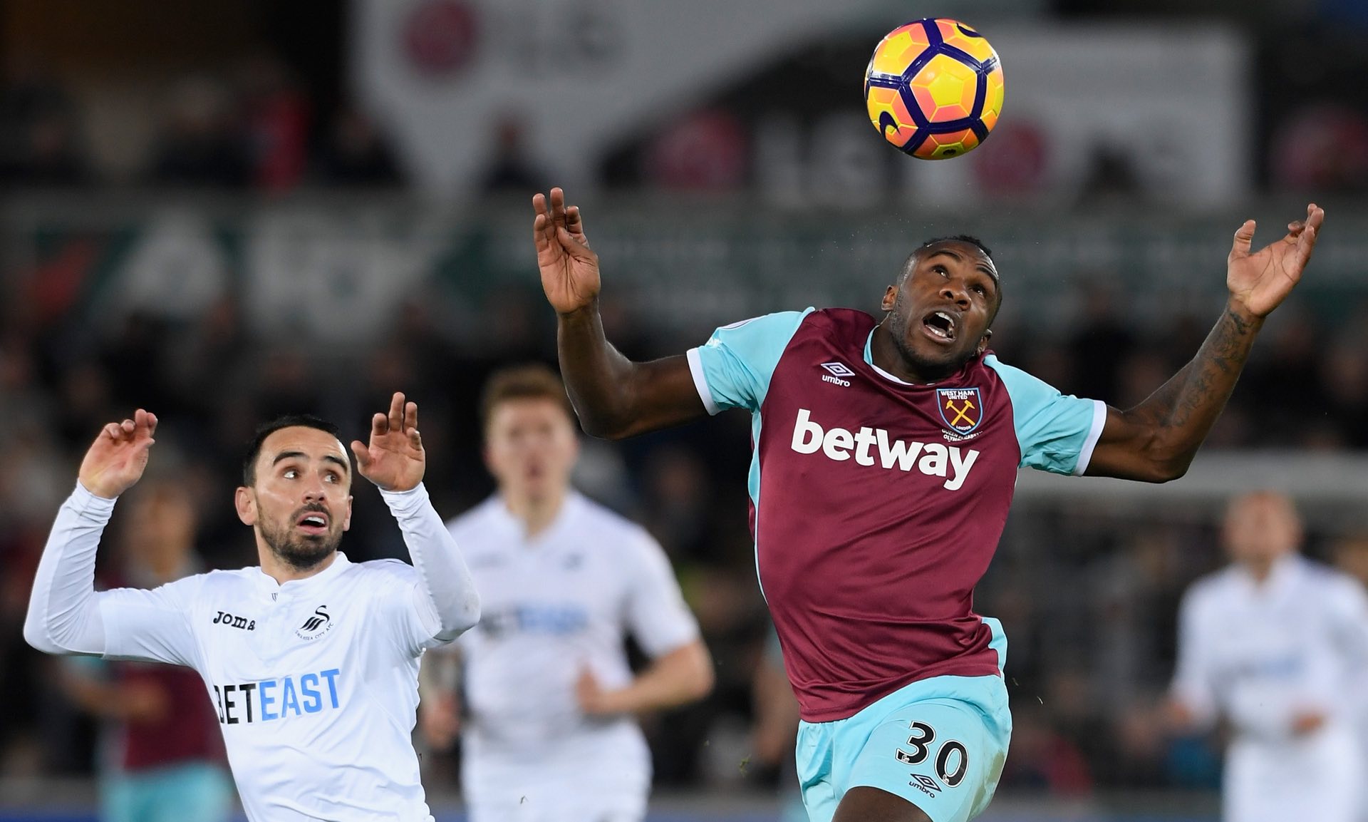 任和情感的 任和情感的